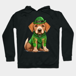 Dog Sleepy But The St. Patrick's Day Holiday Are Coming Hoodie